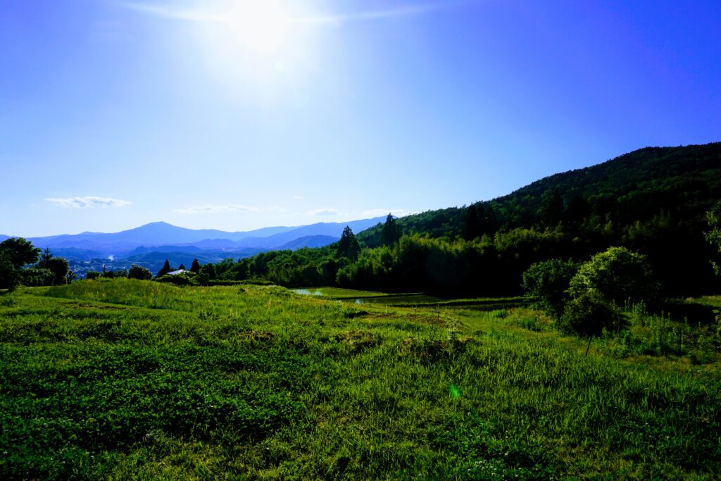 Green fields with blue mountains in the background