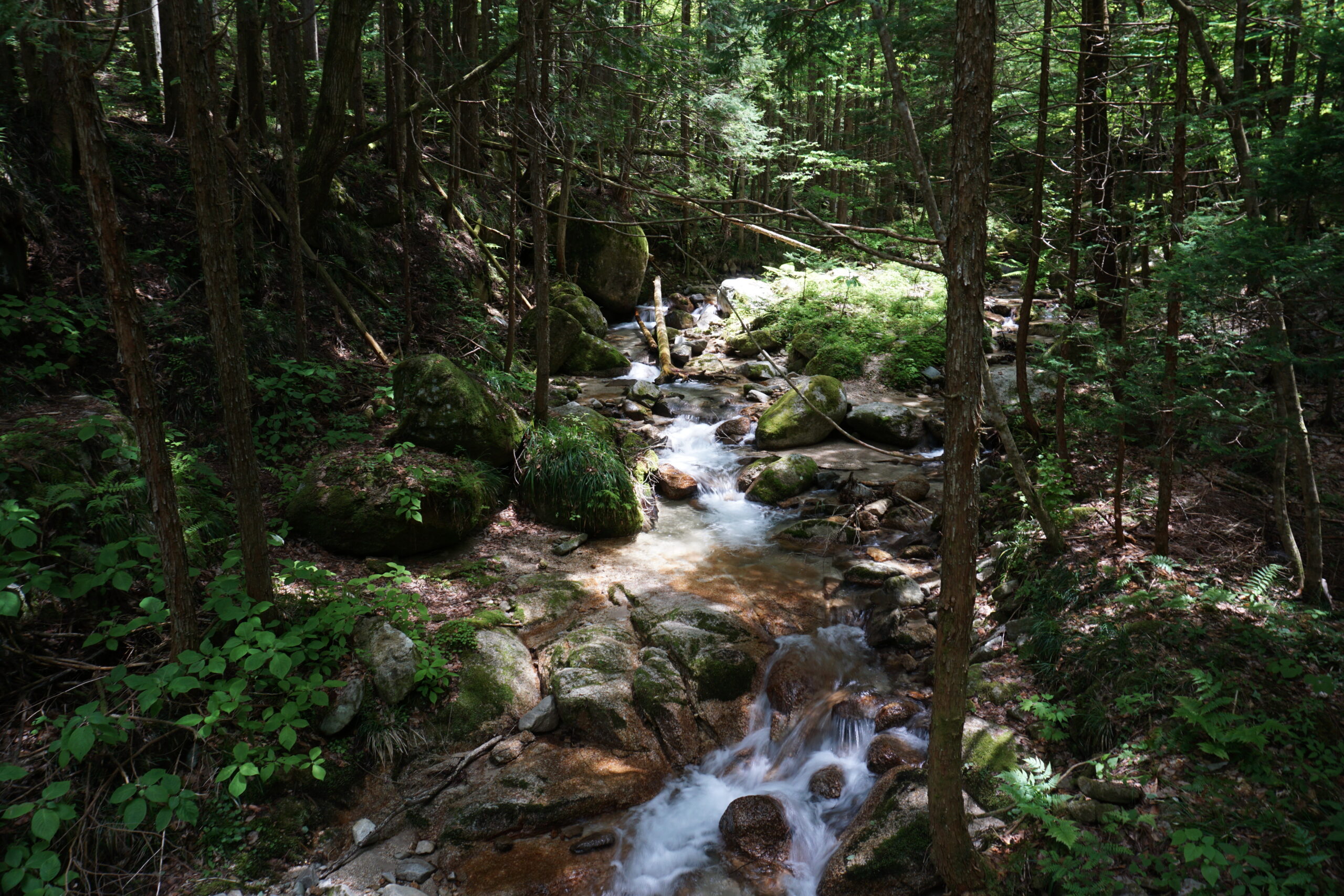 Geography of the path