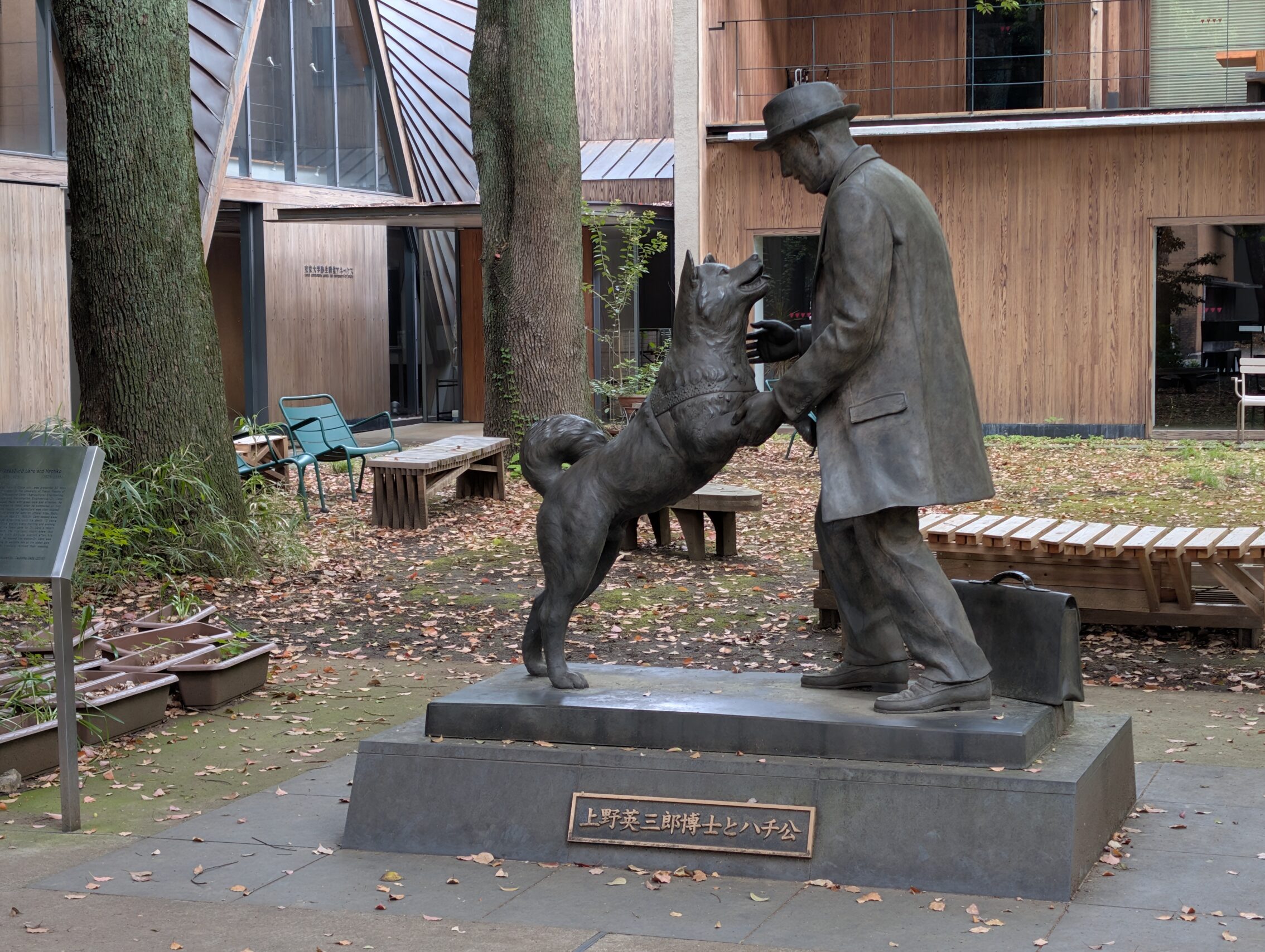 A statue of a dog (Hachiko) jumping enthusiastically and greeting a human (Dr. Ueno)