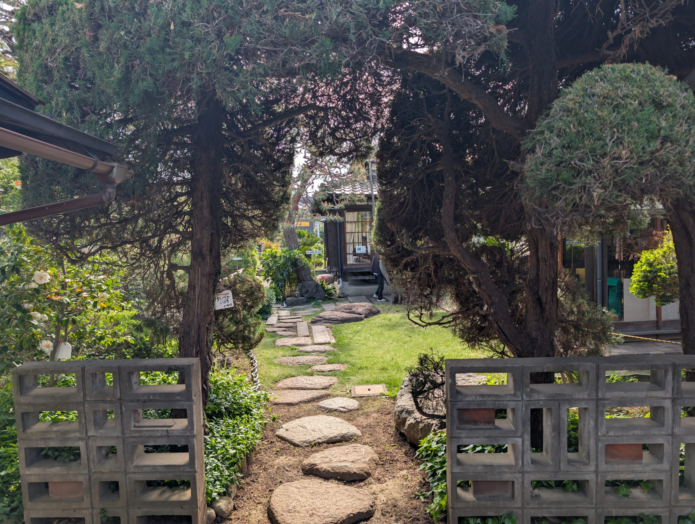 A garden with stepping stones for a path.
