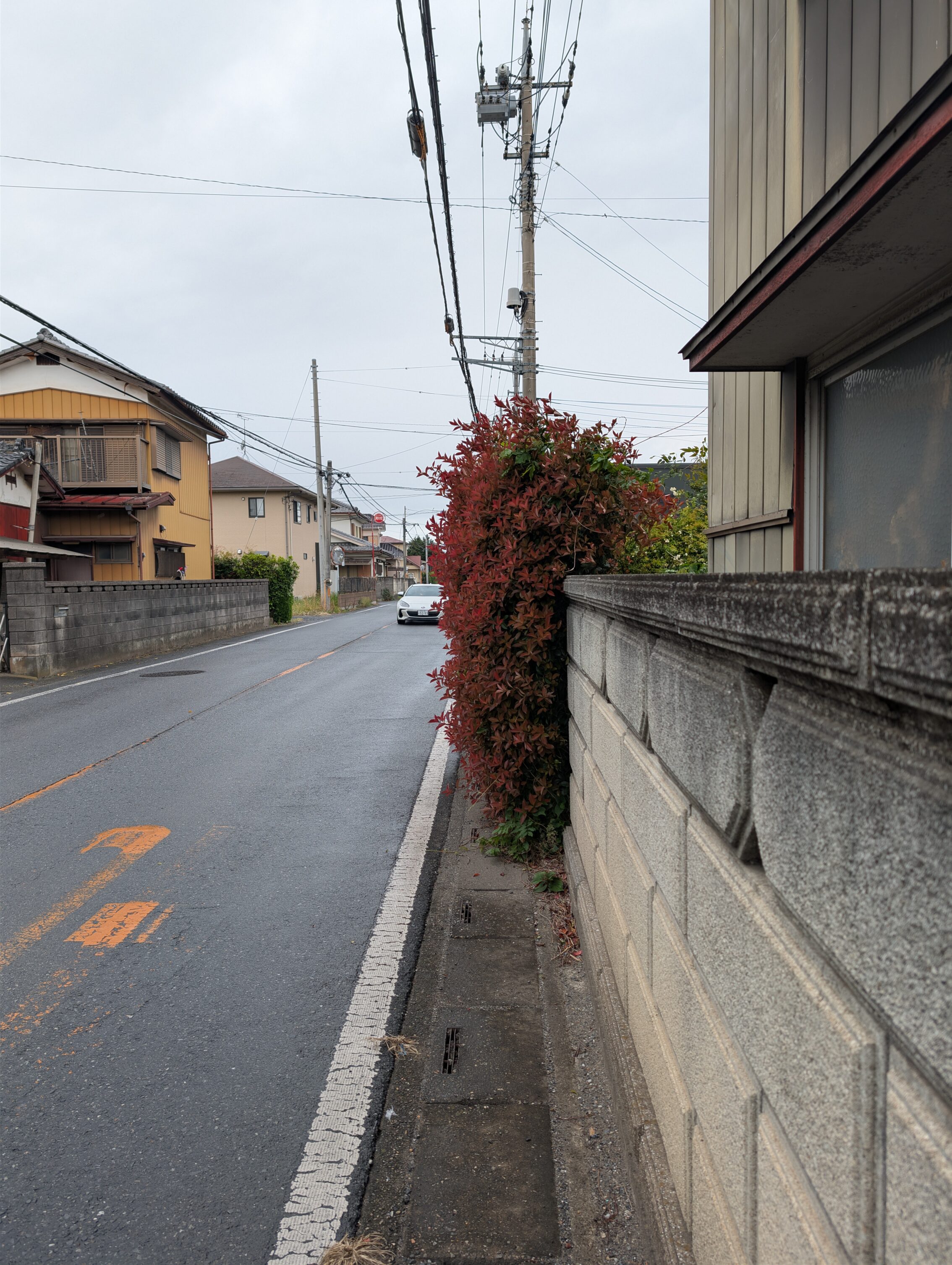 The road on one side, and a stone wall on the other, with about 80 cm space between them. The way forward is blocked by a large bush.