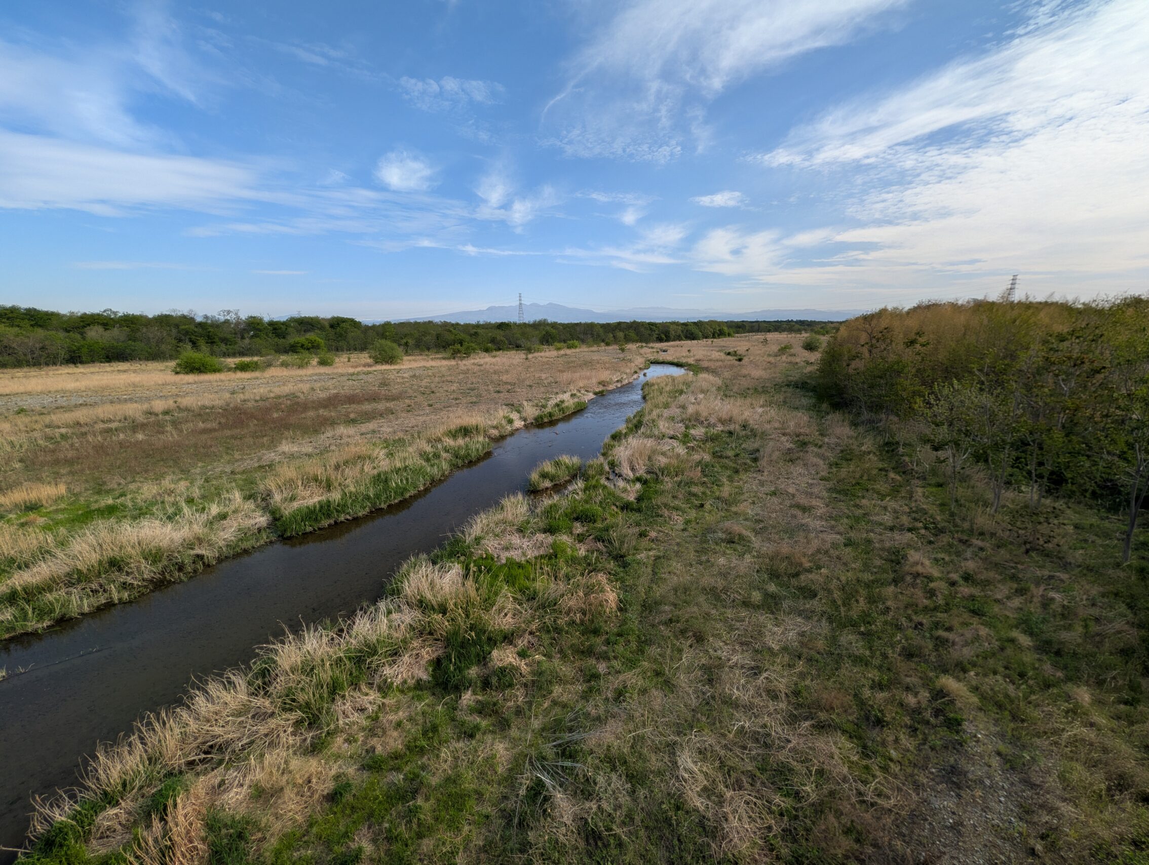 The Kanna river basin, which is mostly filled with plants and trees.
