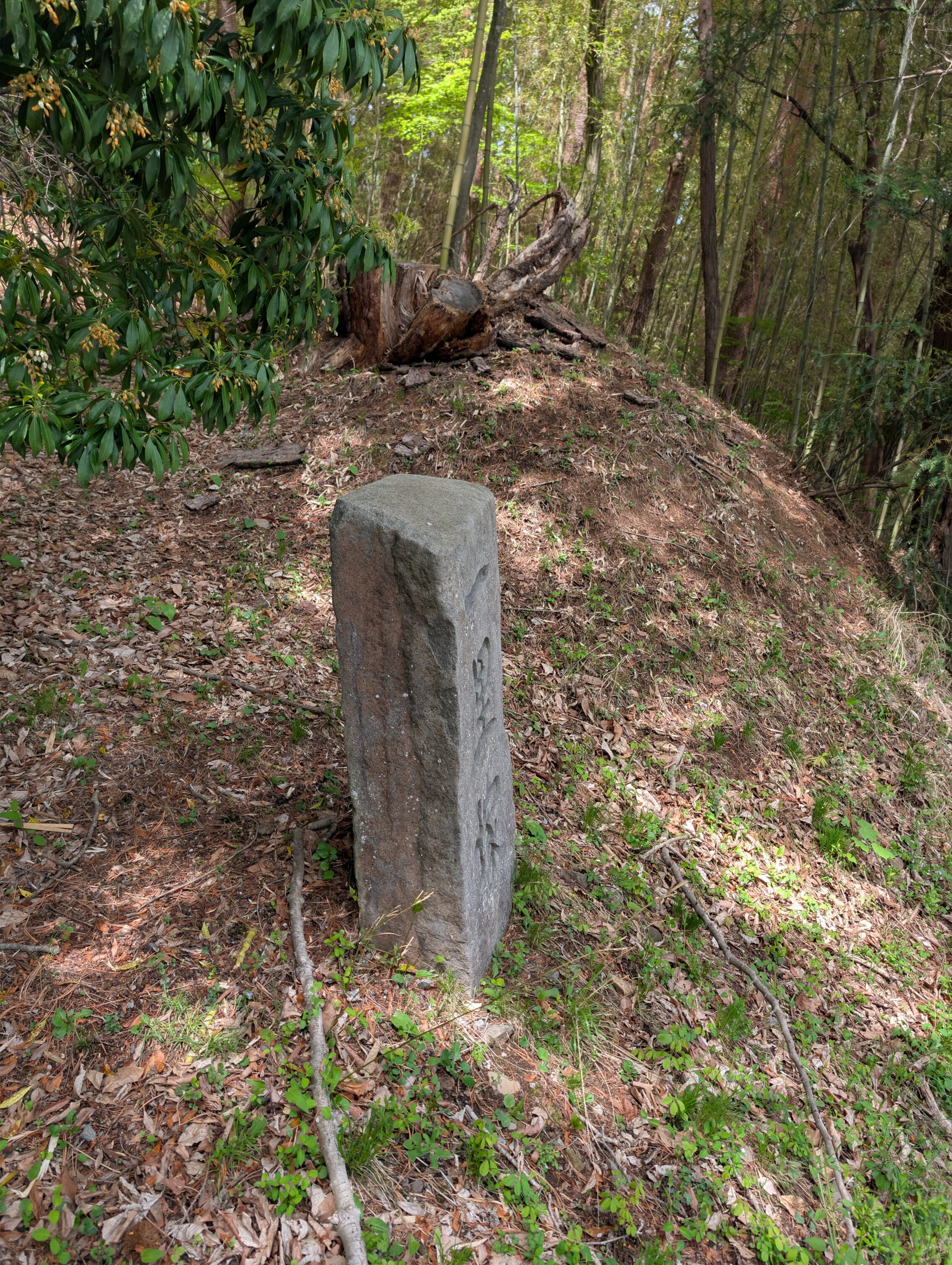 A milestone marker on a slope, with a small mouond behind it.