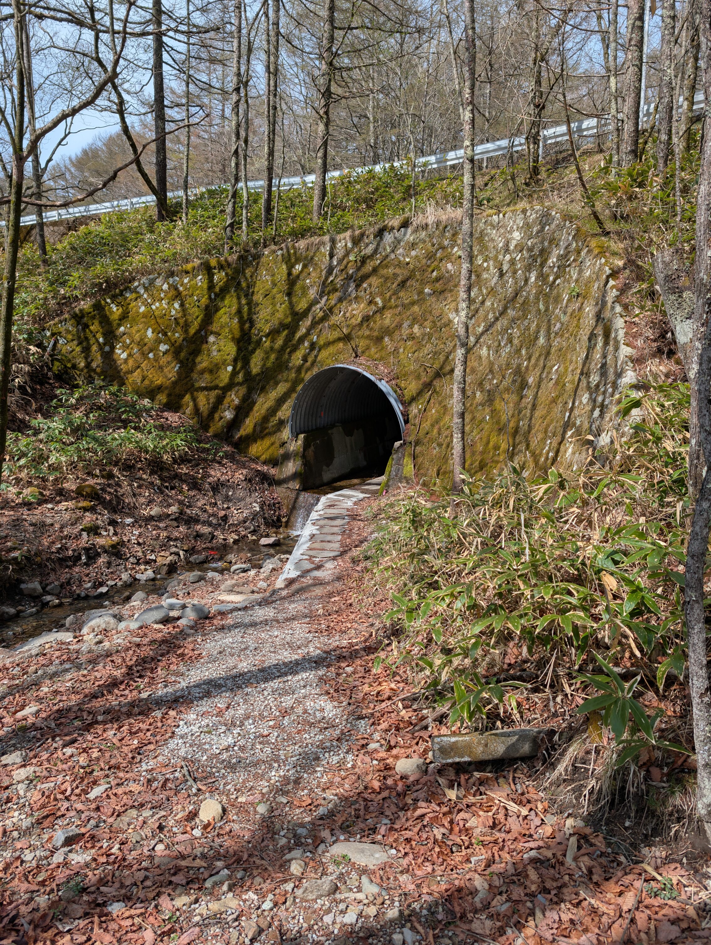 A storm drain beneath a road, with a stream running through.