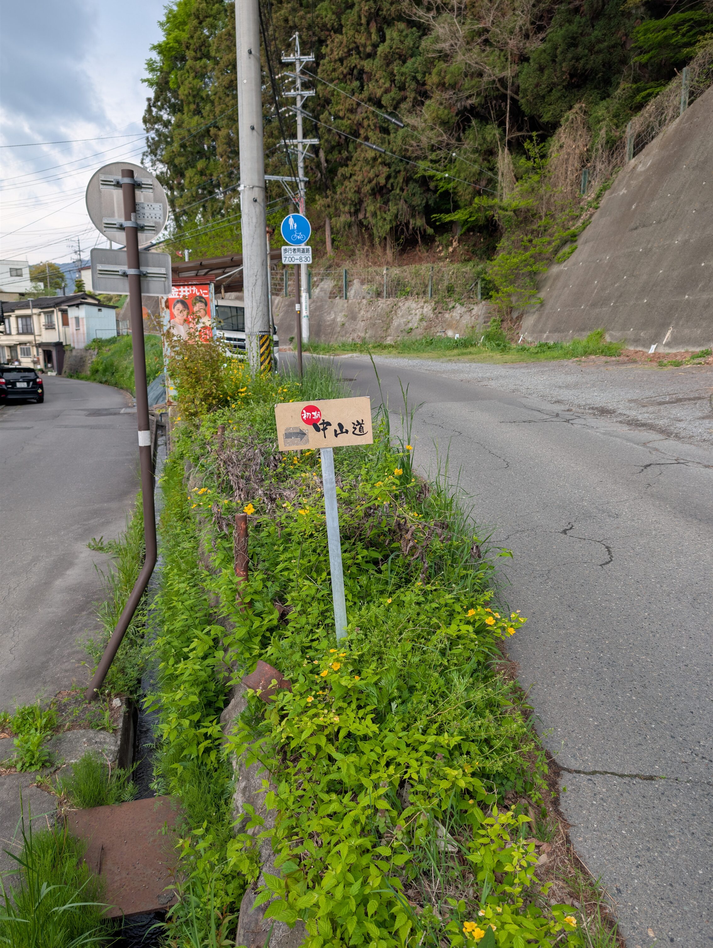 Two roads diverging with a small sign saying Early Nakasendō in Japanese pointing to the right.