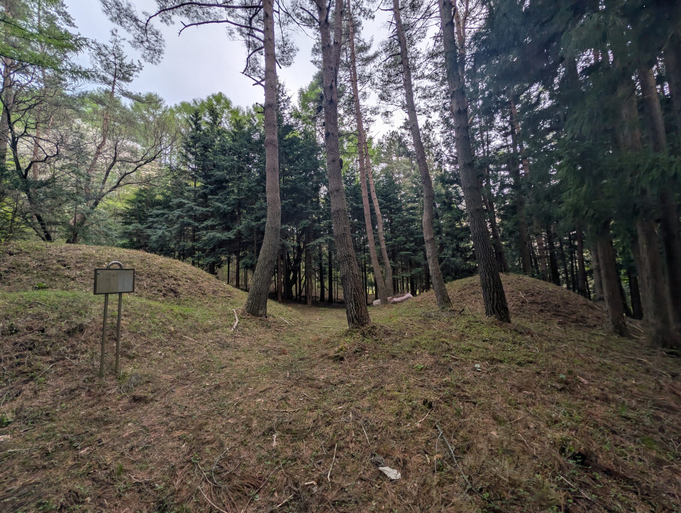 Two earthen mounds surrounded by trees.