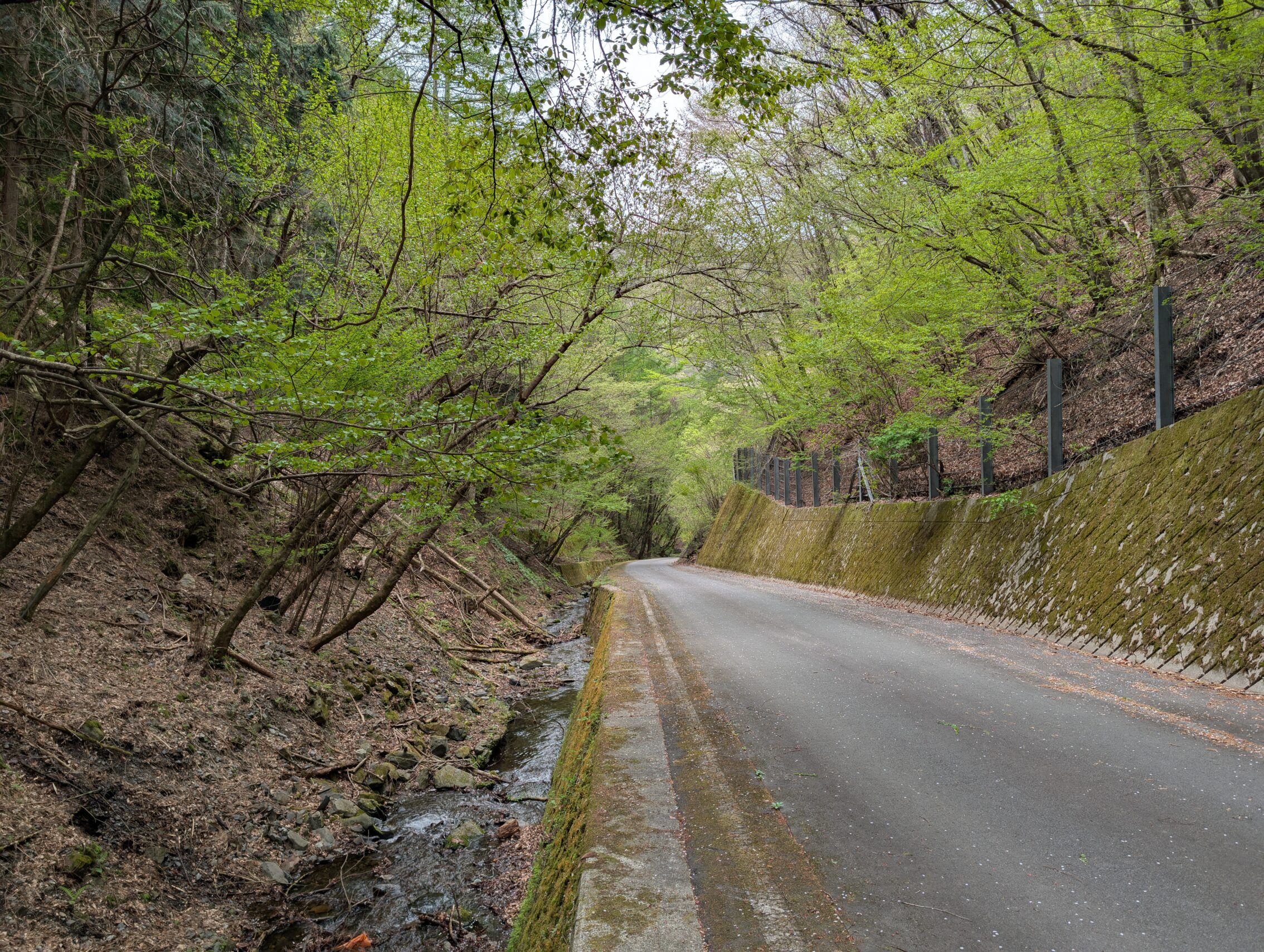 A downwards sloping road, with a concrete wall on the right side, and a mountain stream on the left. There is no protective railing on the left side.