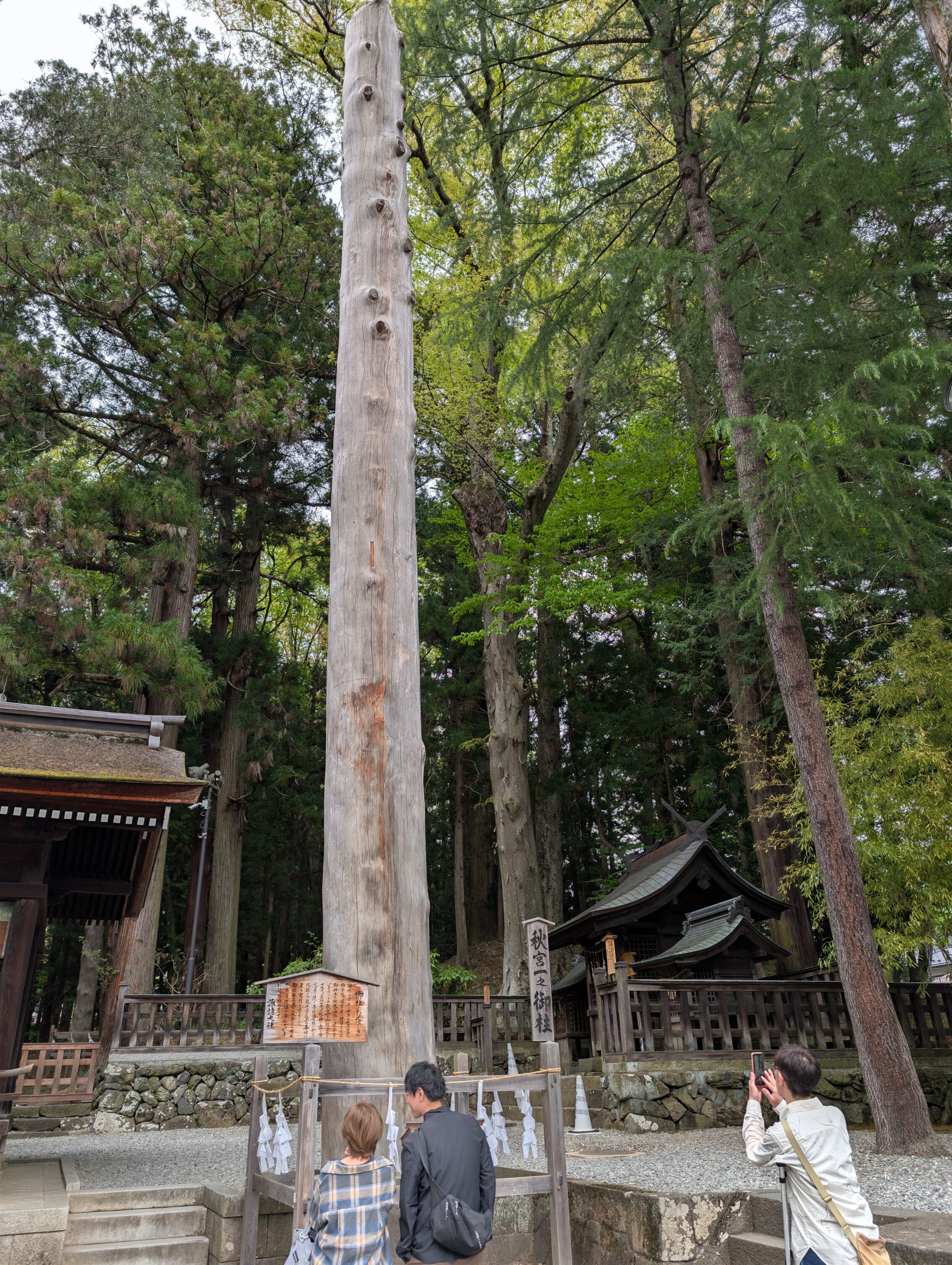 A large log of a cedar tree is raised next to a temple. There is no bark left on it.