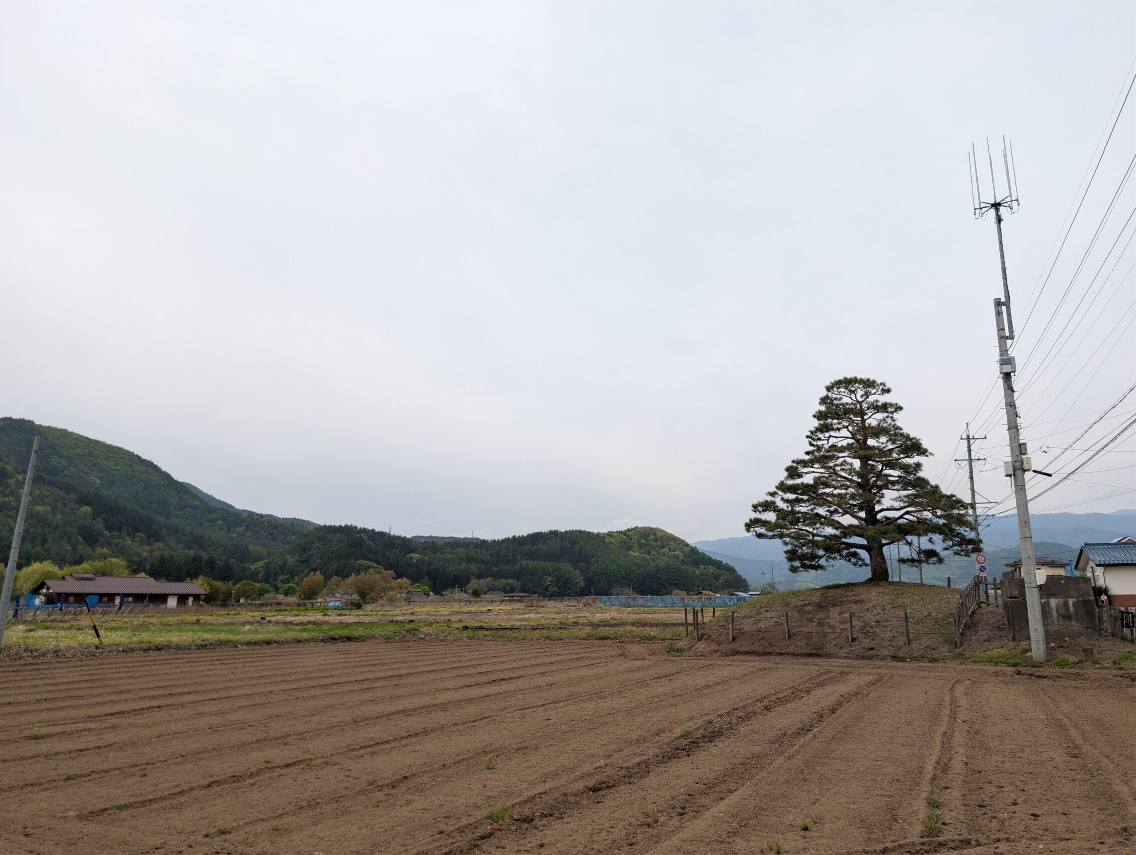 A lonely tree on a mound, with mountains in the background.