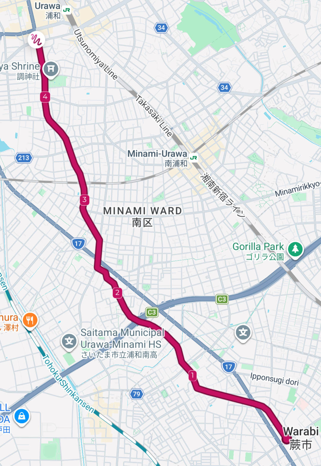 Screenshot of a map showing the path of the third leg.