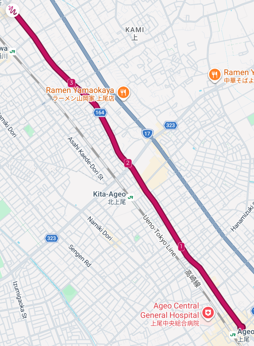 Screenshot of a map showing the path of the third leg.