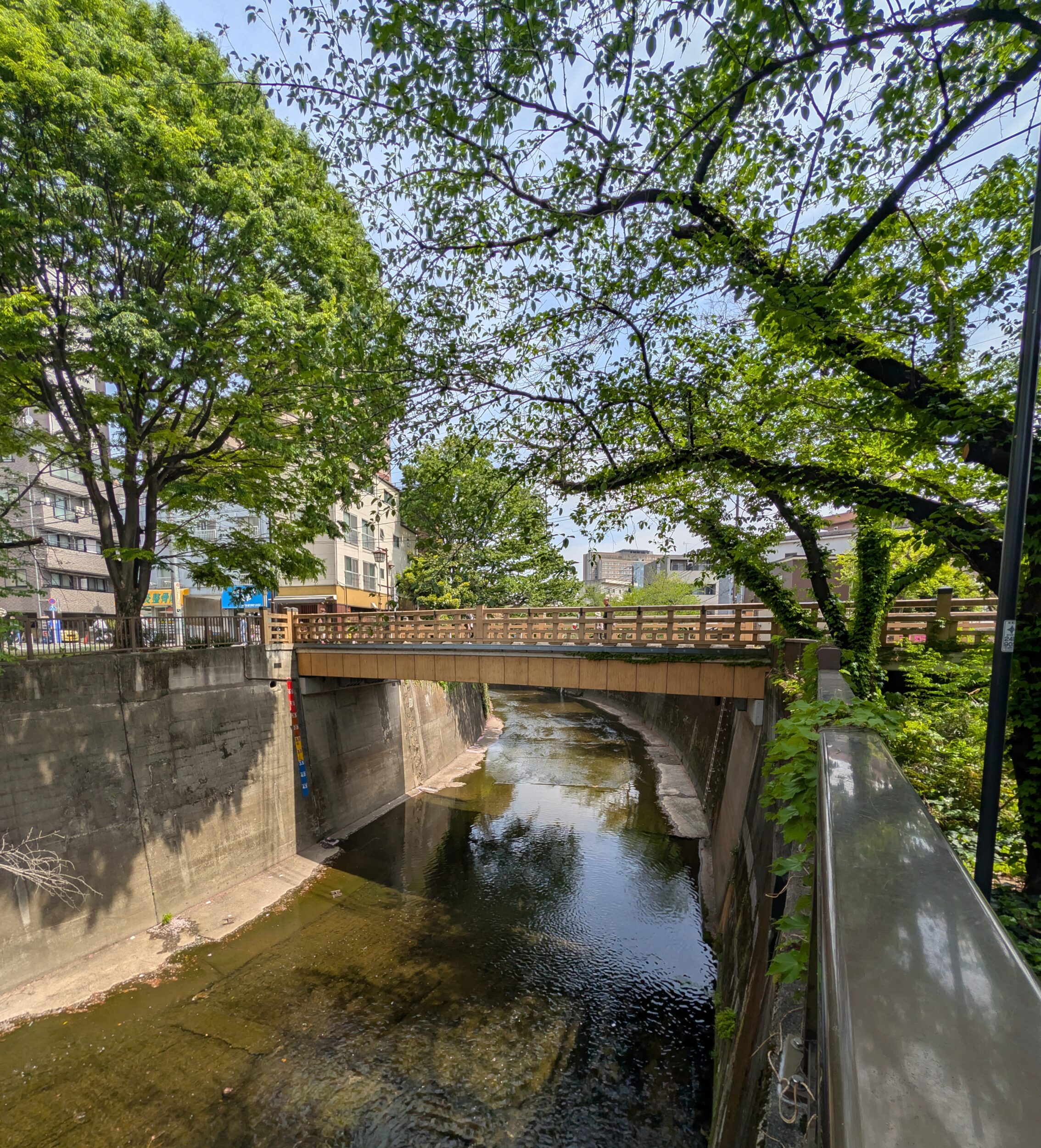 A bridge across the Shakujii river.