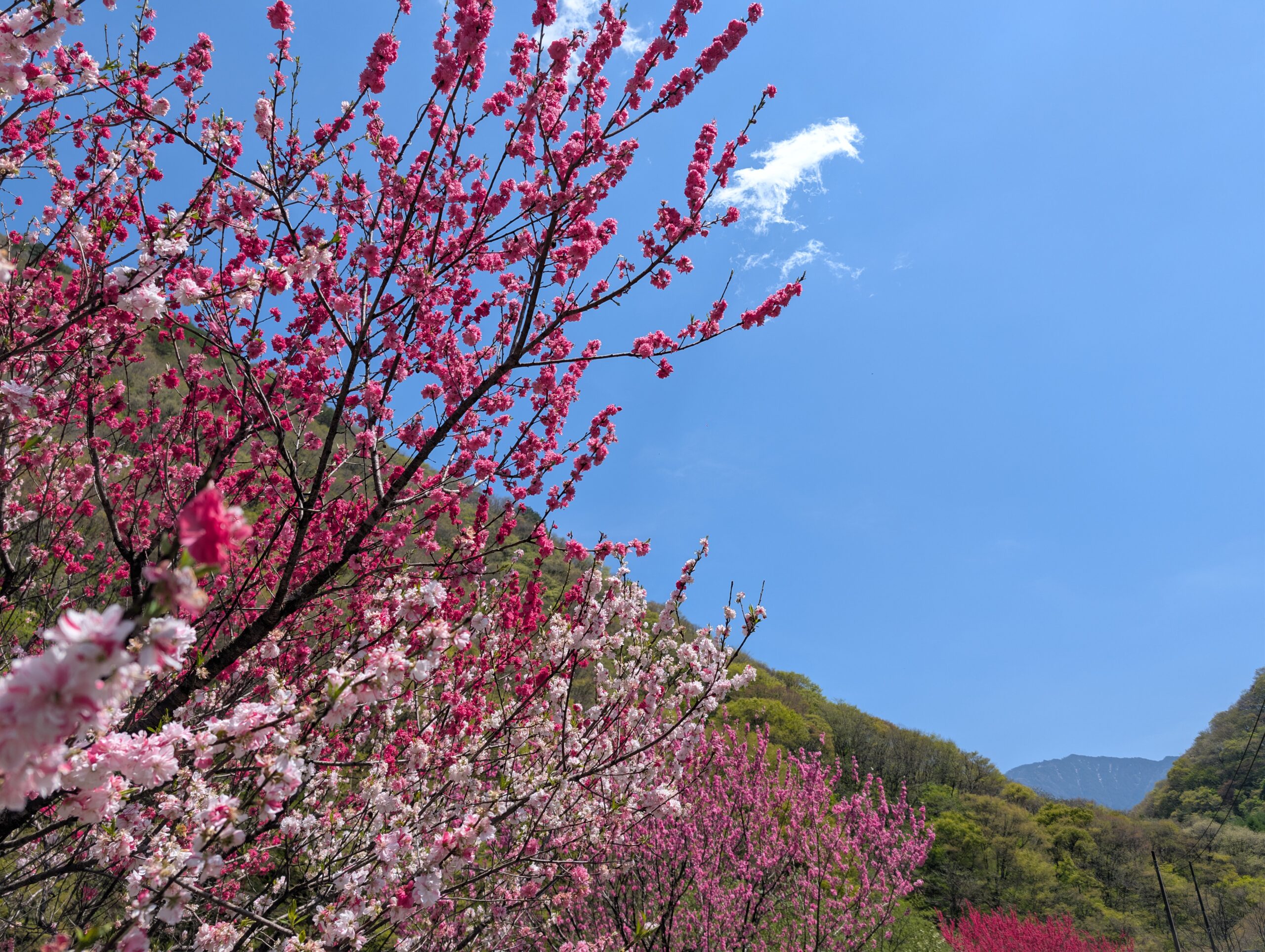 34. to 37. Narai to Fukushima