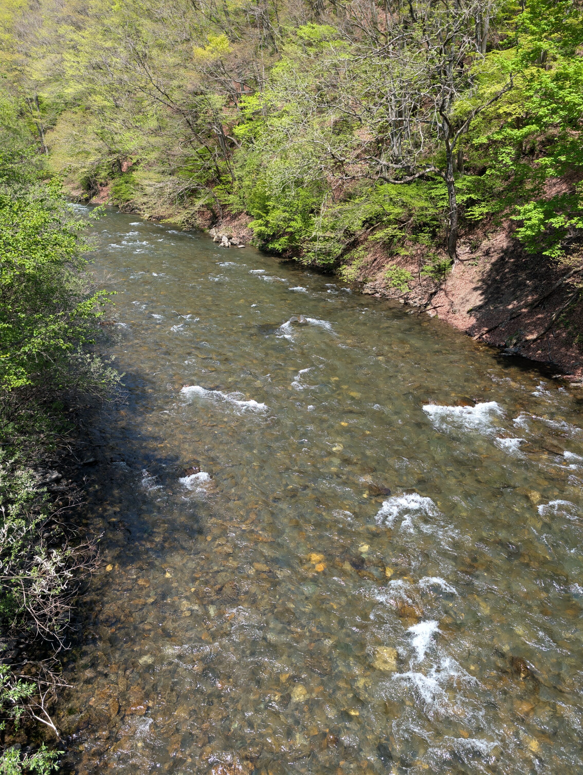 The Kiso river.