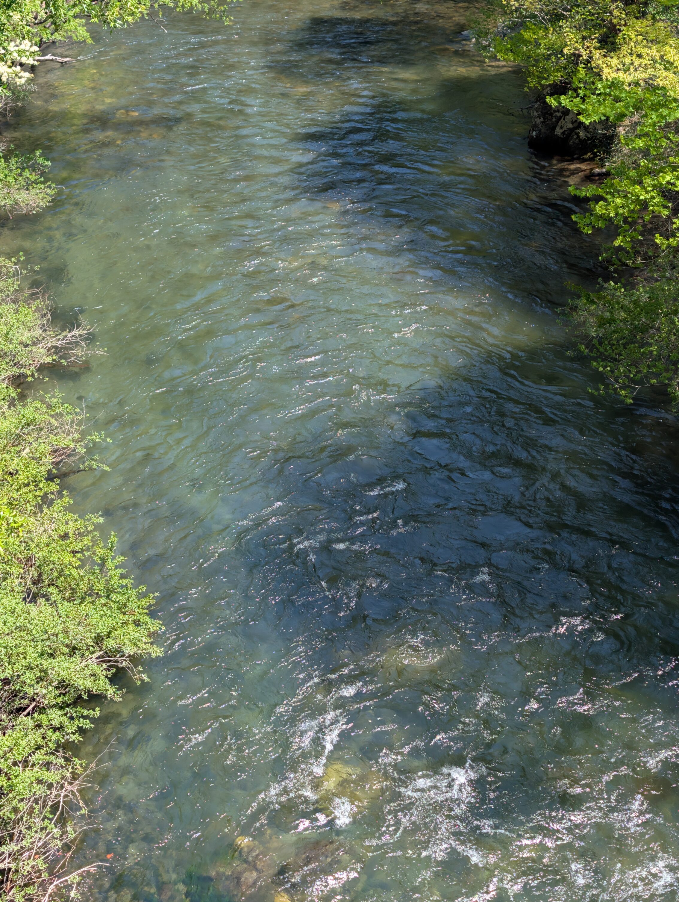 The Kiso river