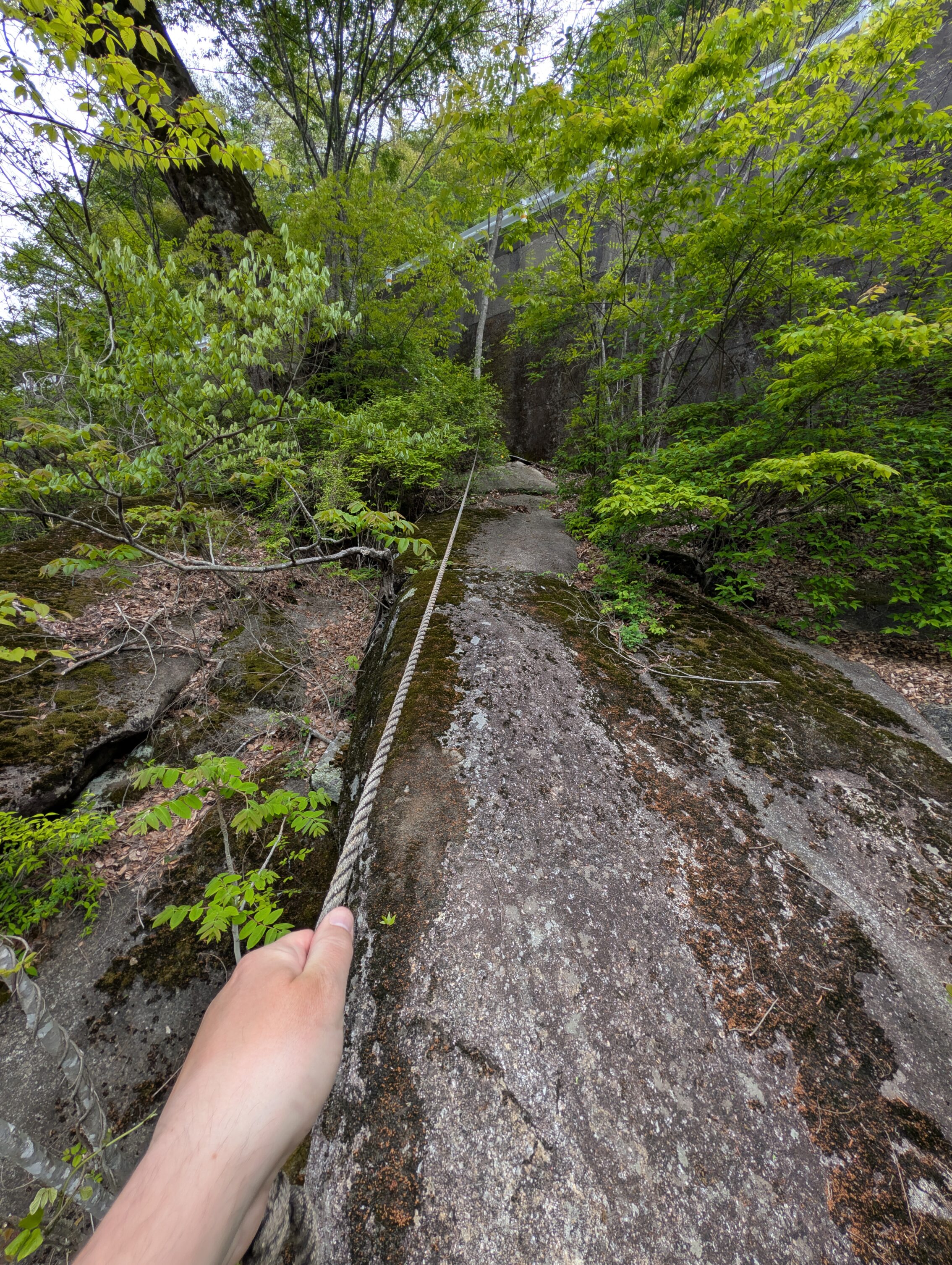 A hand holding a rope, and a steep rock face ahead.