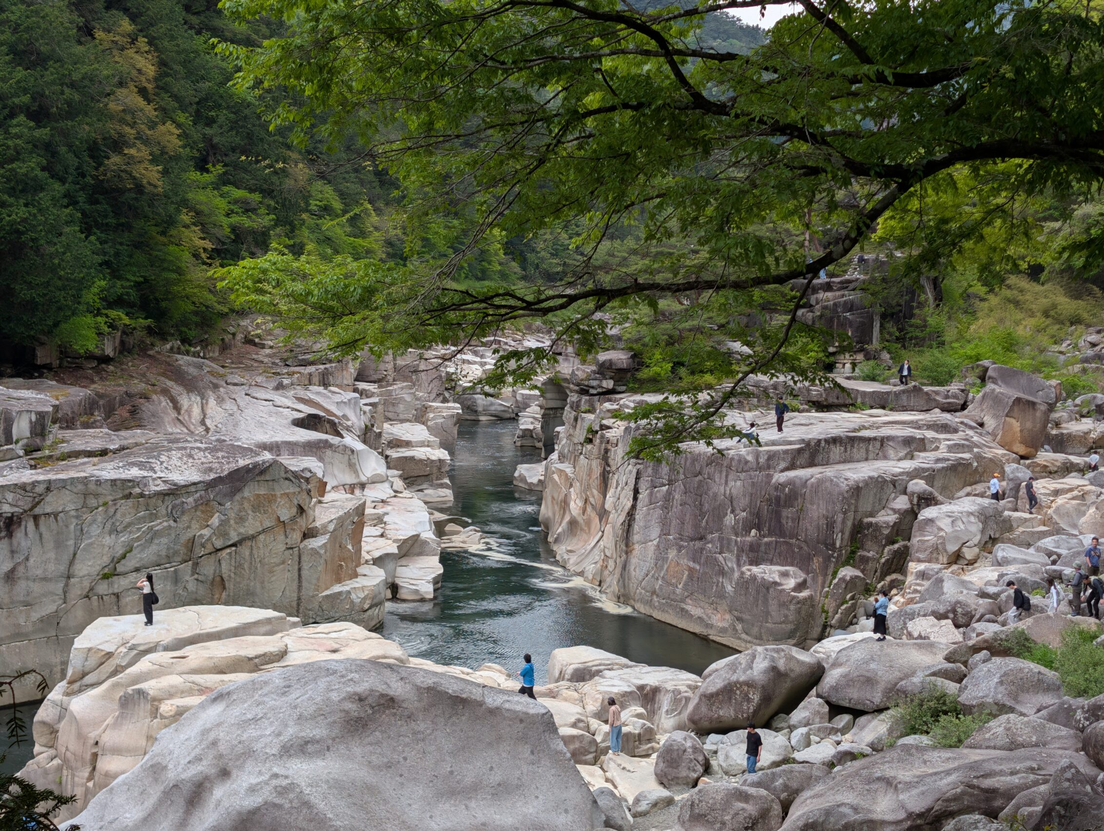 A narrow gorge with green river running through it.