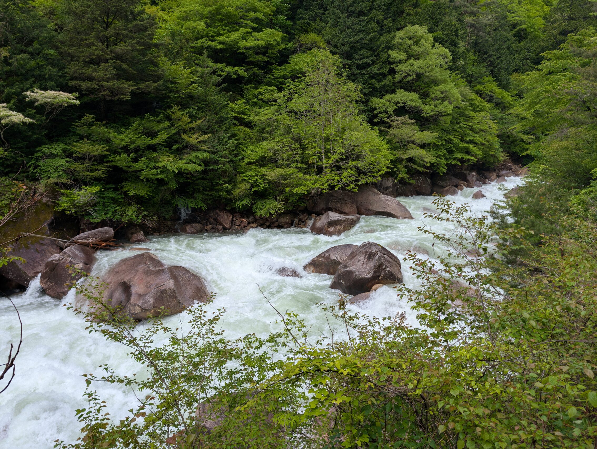 Churning waters of a river in a forest.