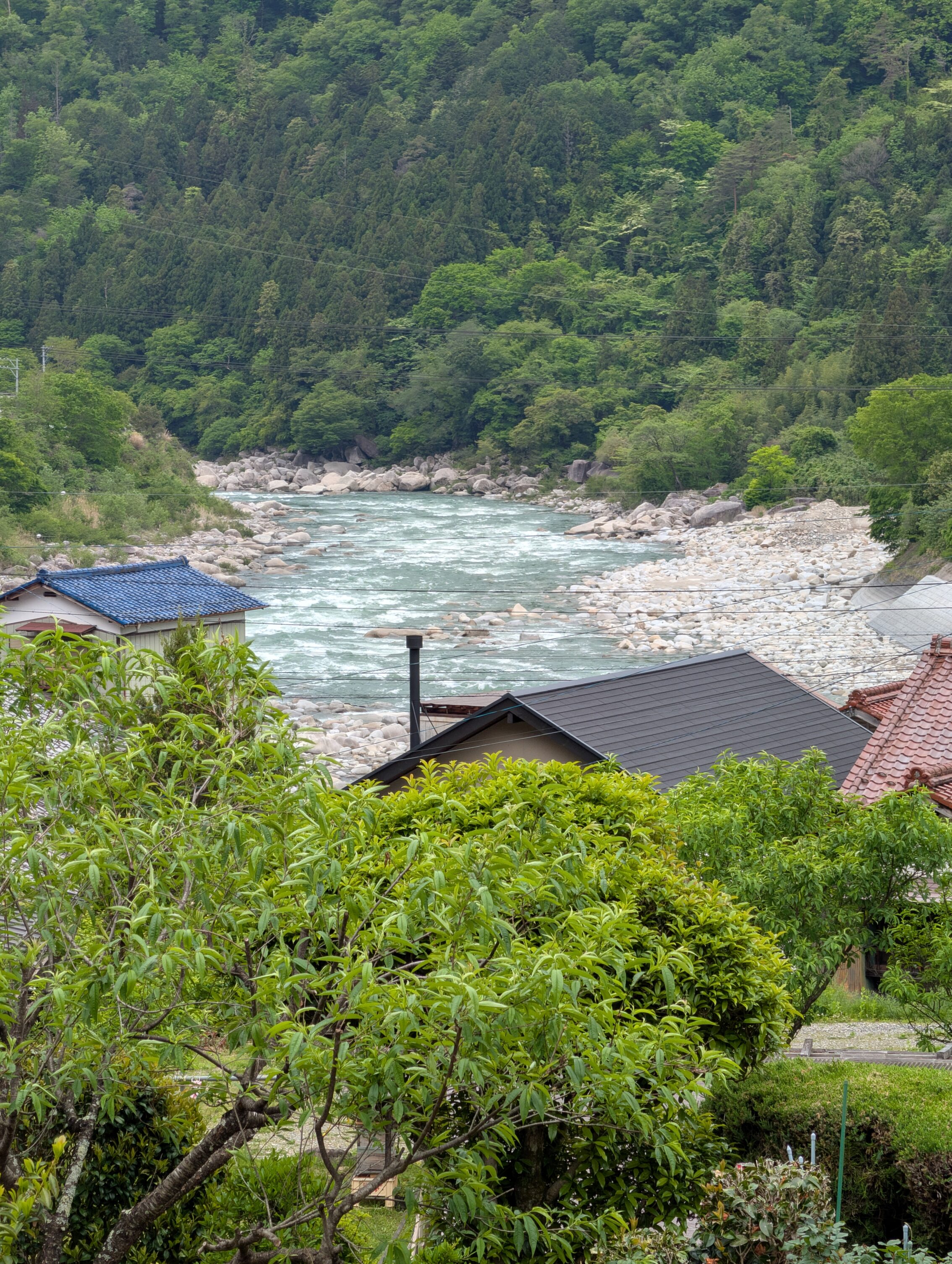 A green river amidst some houses and a lot of trees.