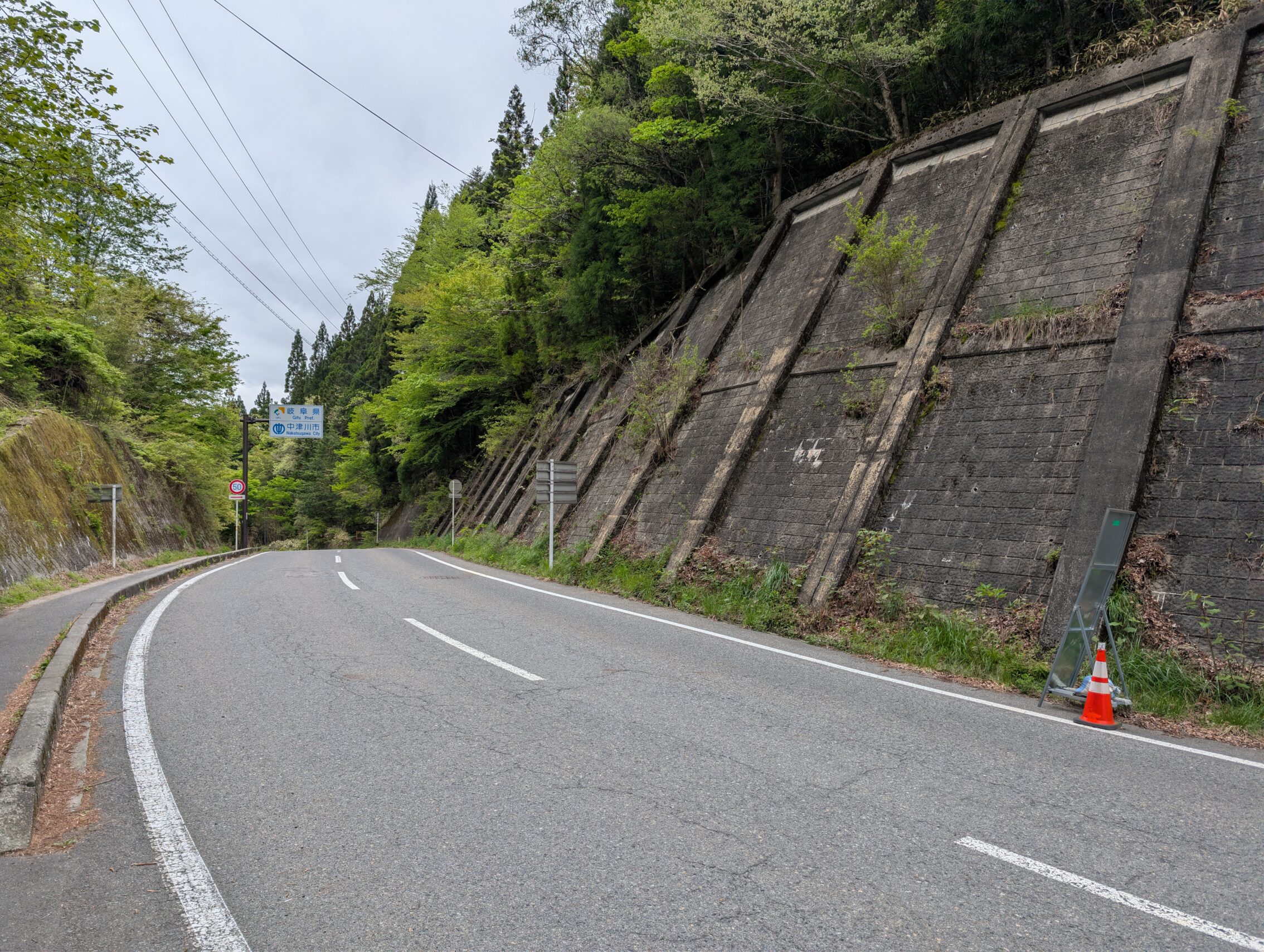 A road with a concrete wall on the right, with trees leaning over.
