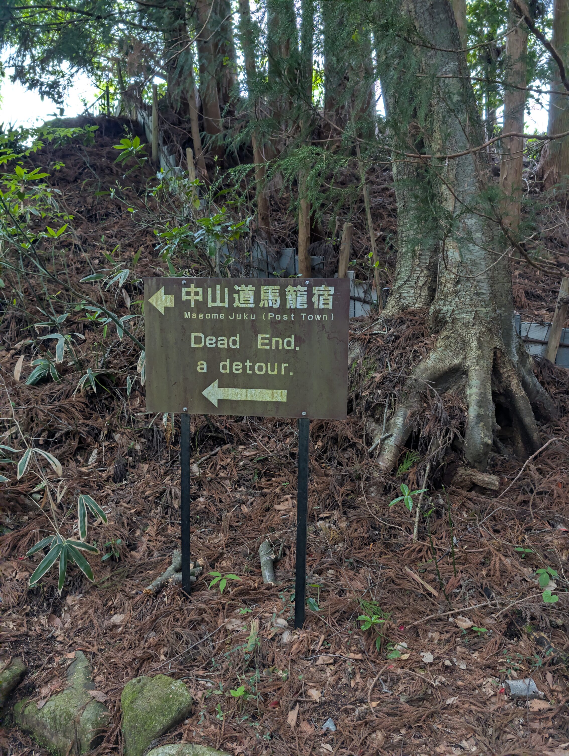 A sign with an arrow saying "Dead End. a detour."