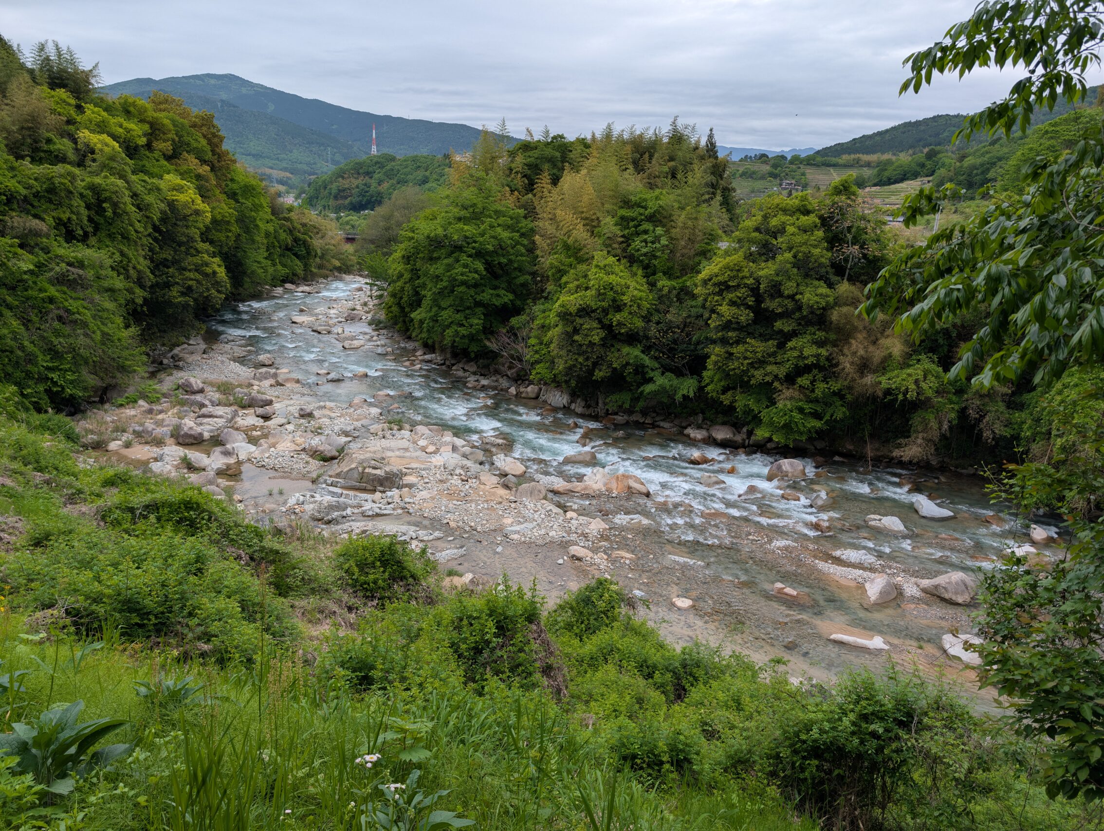 A green river with trees.
