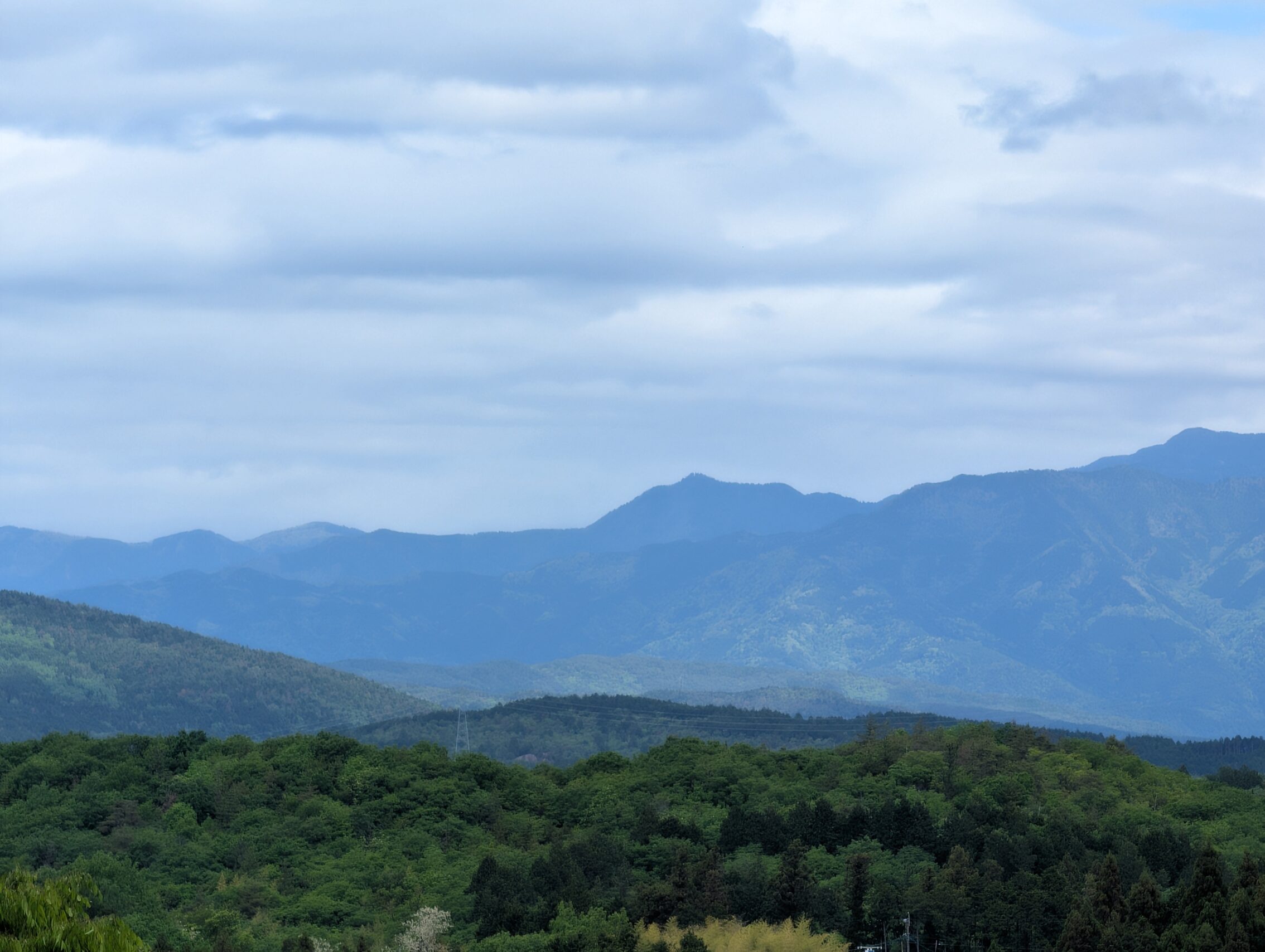Forests in the foreground, and bluish mountains in the background against a cloudy sky.