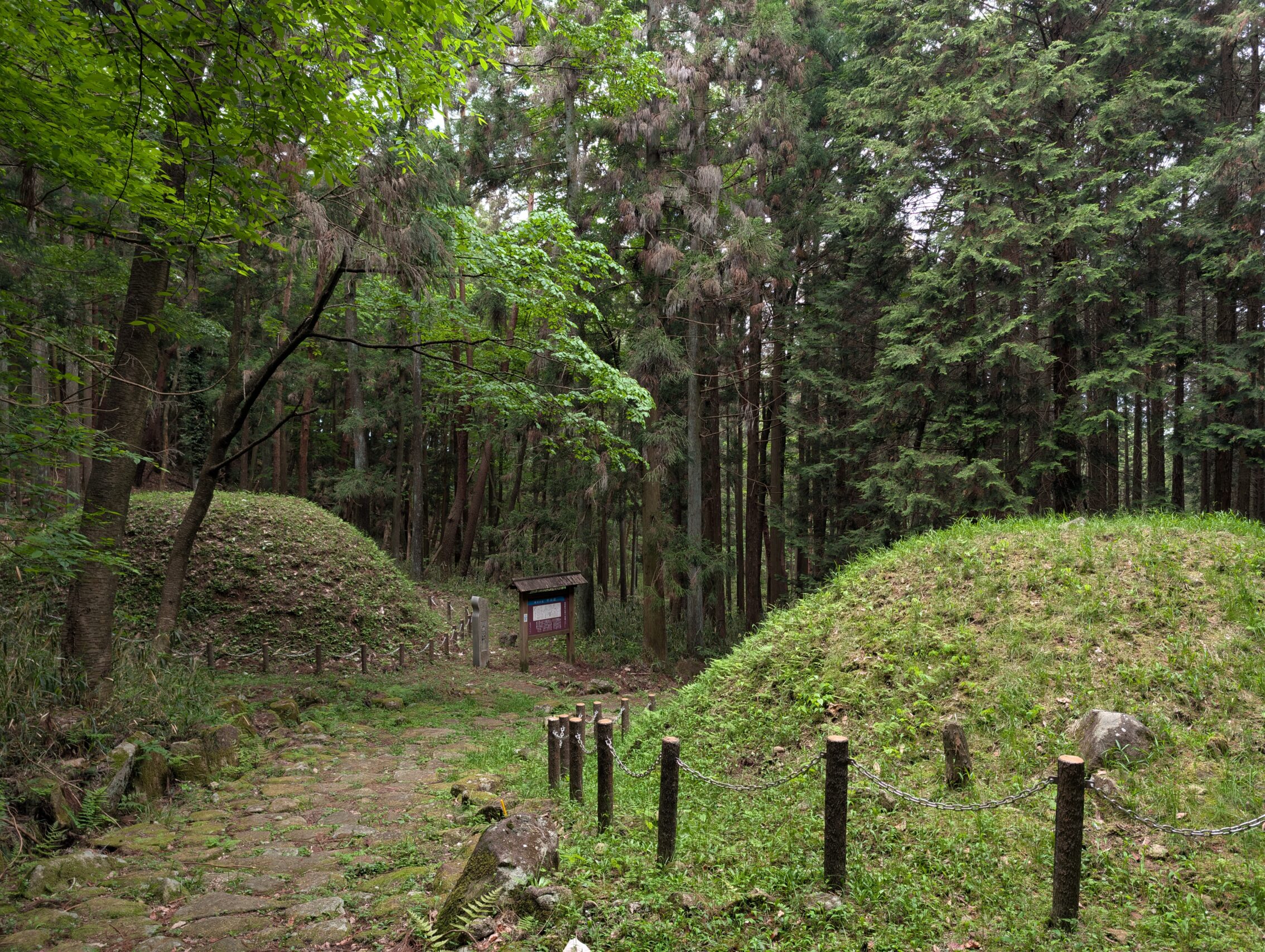 Two earthen mounds, sealed by low fences in the middle of the forest.