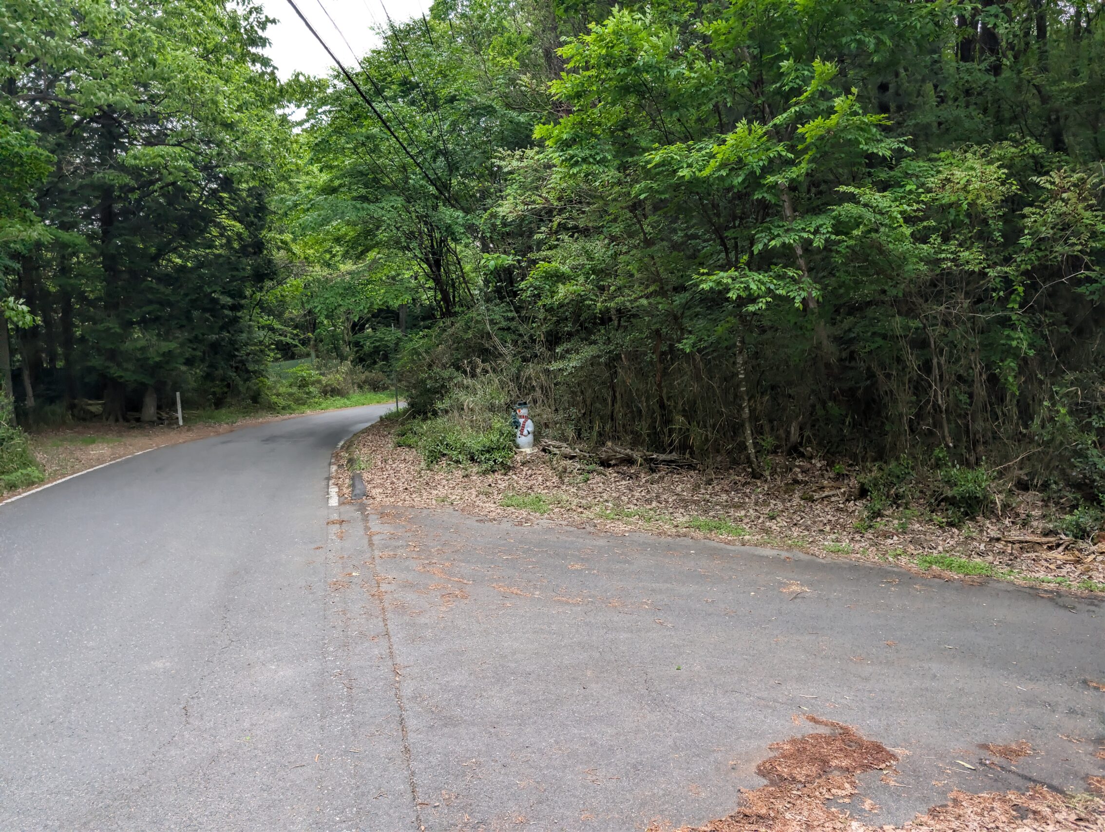 A deserted country road amidst green trees. There is a plastic snowman hidden in some bushes beside the road.