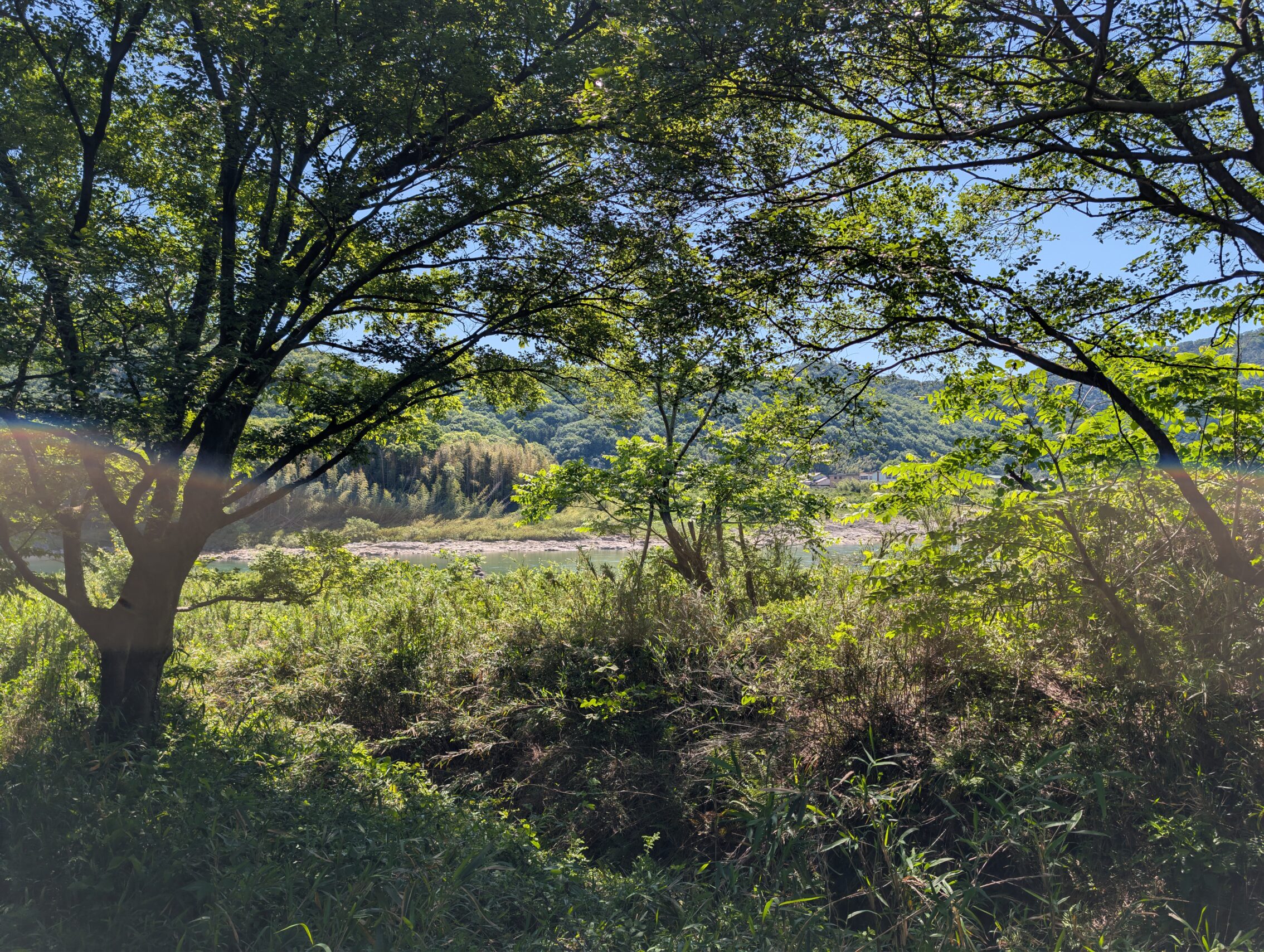 A lot of trees, and the Kiso river barely showing in the background.