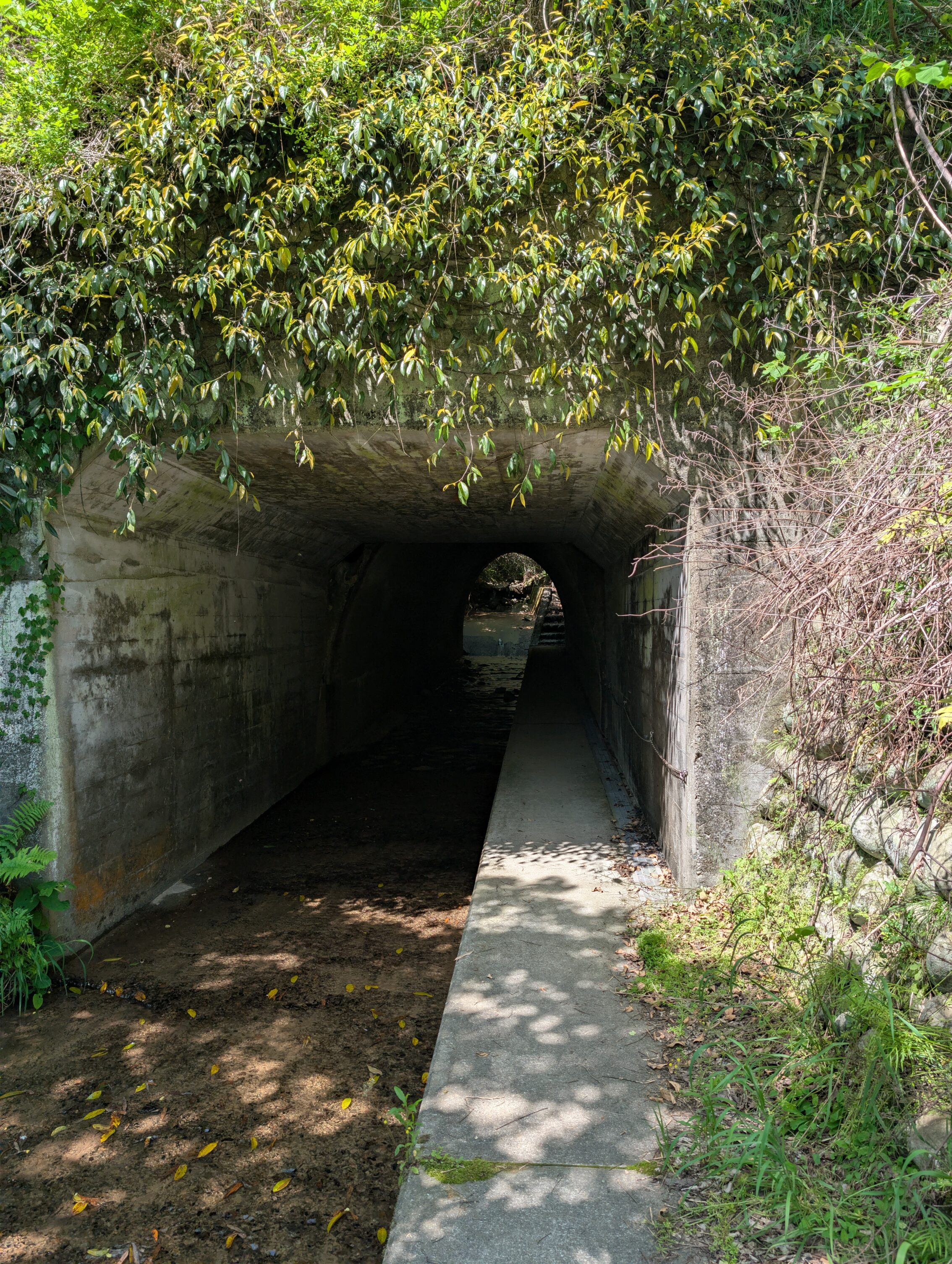 A stream running through a tunnel, with a walkway on the right hand side.