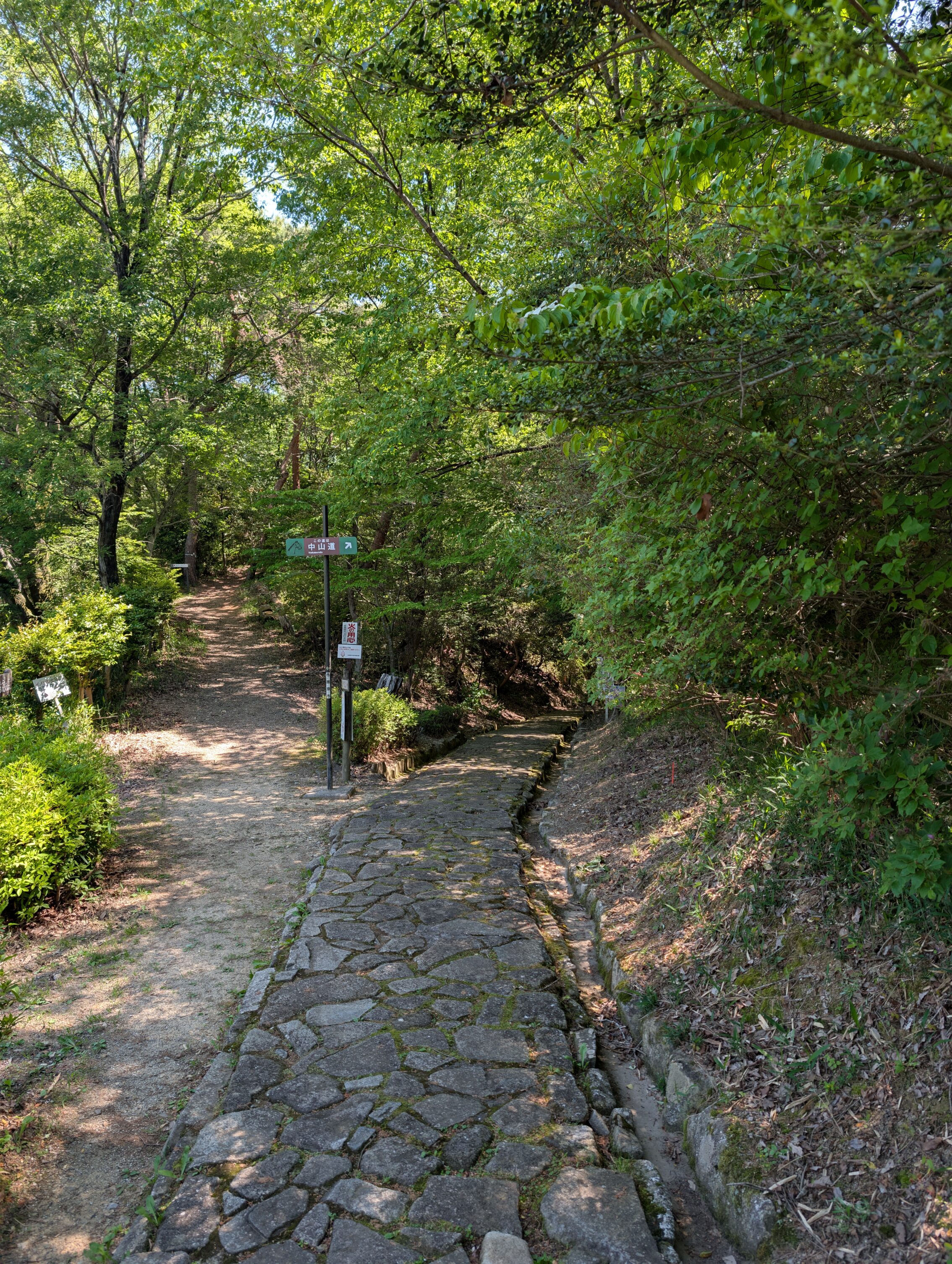 A paved pathway heading to the right through a forest, while another path veers off to the left.