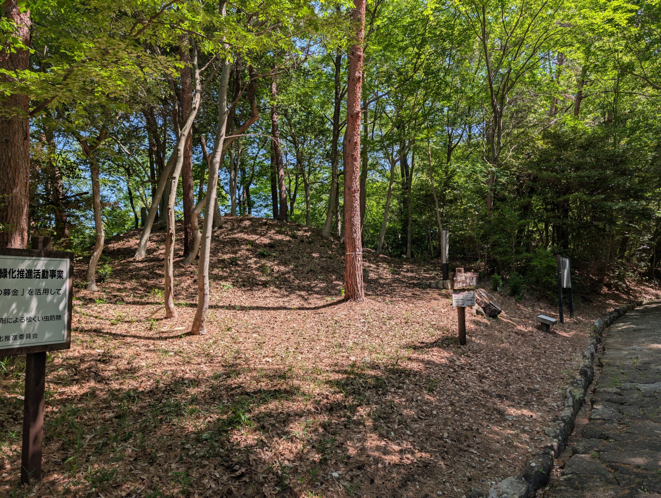 An earthen mound with trees around it.