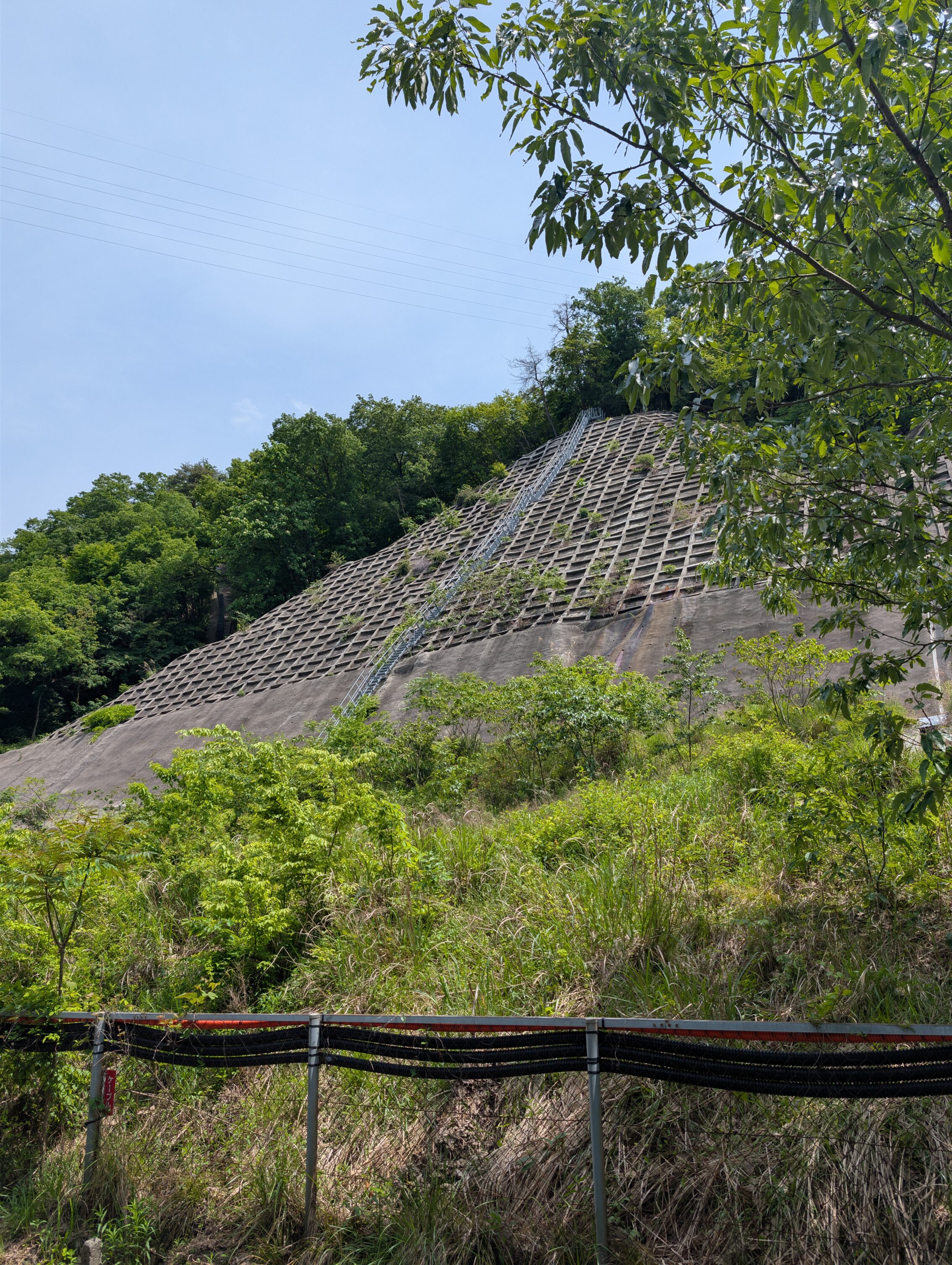 A steep slope covered in concrete to protect from avalanches, with a narrow metal staircase leading up.
