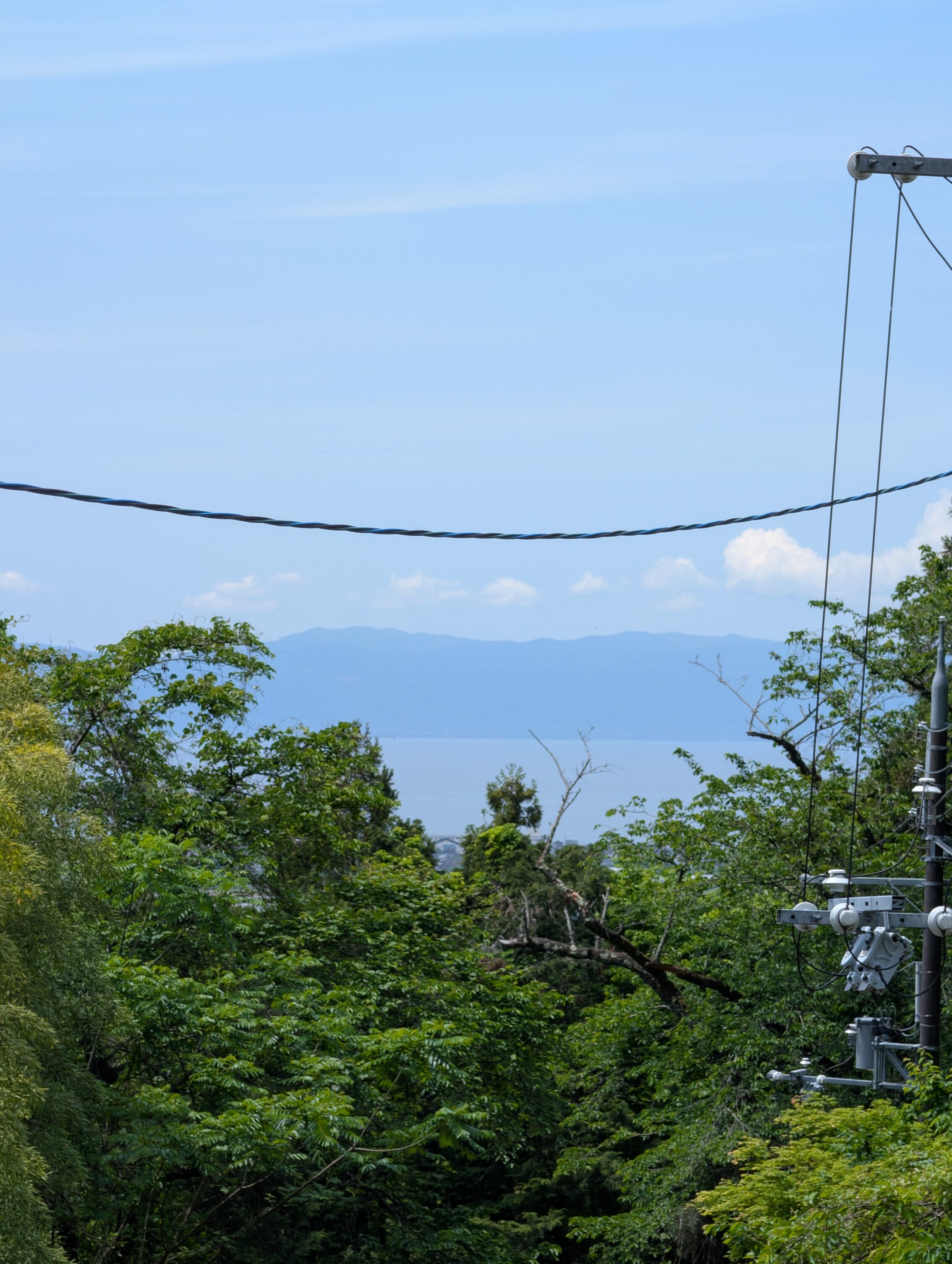 A view of a lake in the distance, across some treetops.