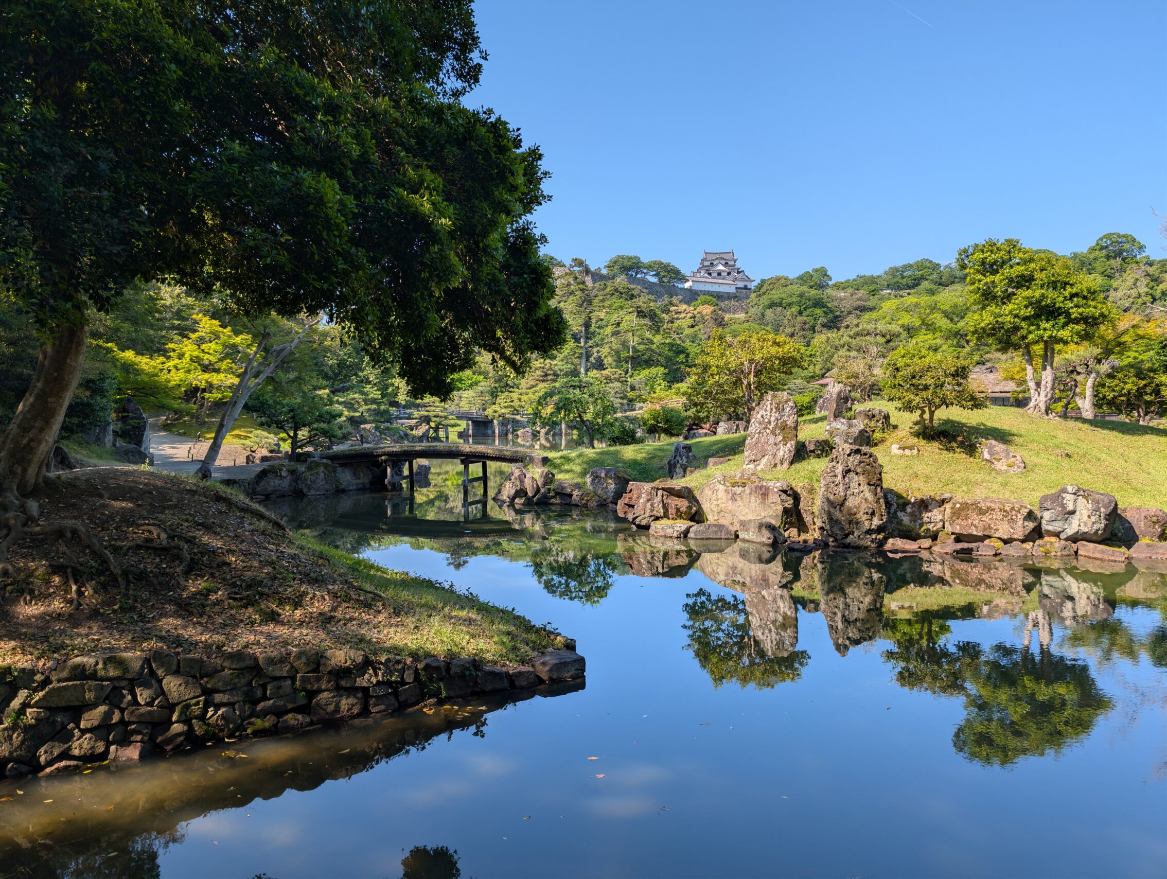 A pond with tiny islands, and lots of trees, with the Hikone castle in the background up on a hill.