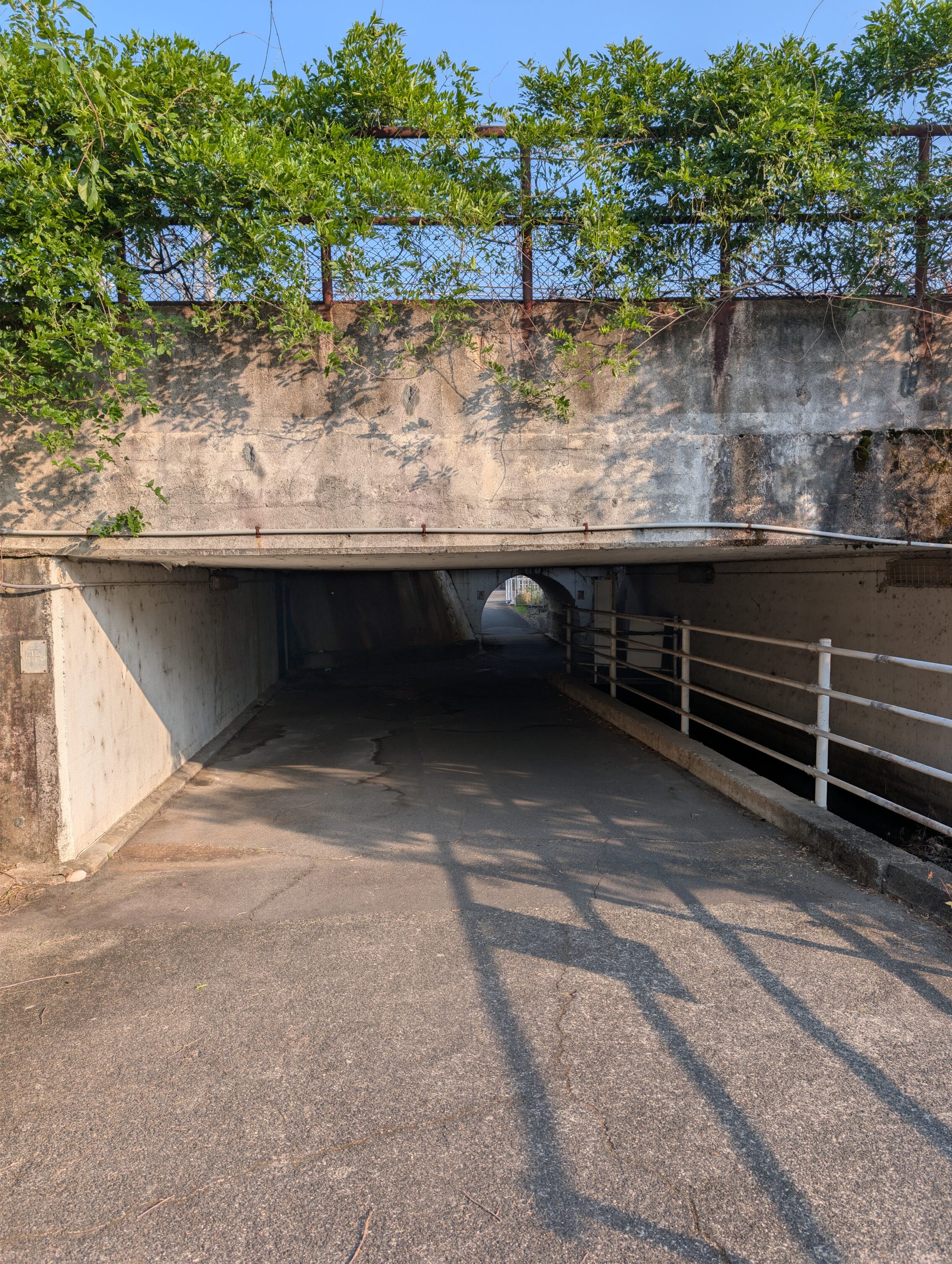 A very low railway bridge, where the path leads.
