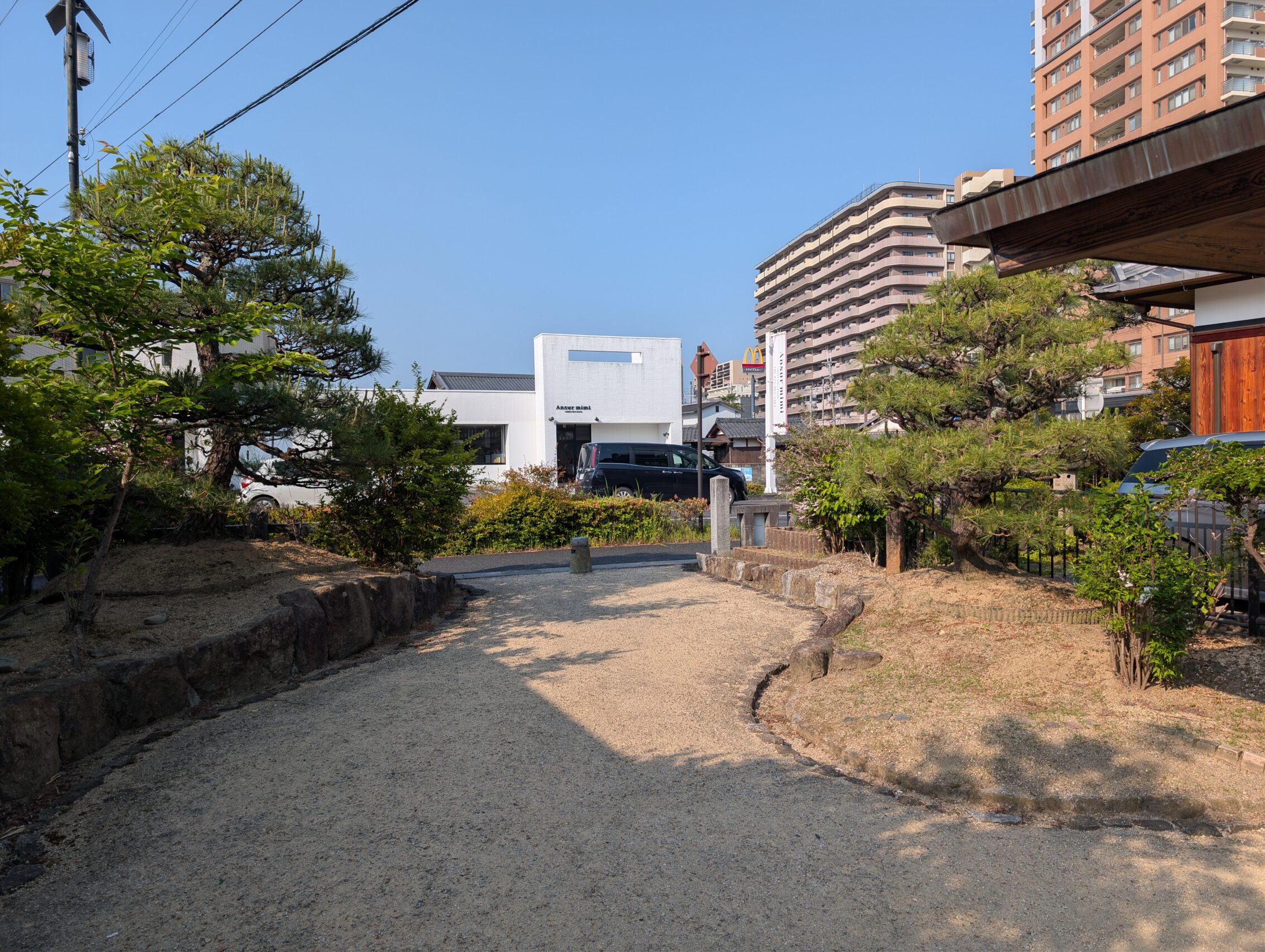 Two tiny mounds of earth with a pine on each, one on each side of a small path on minute patch of greenery in a city.